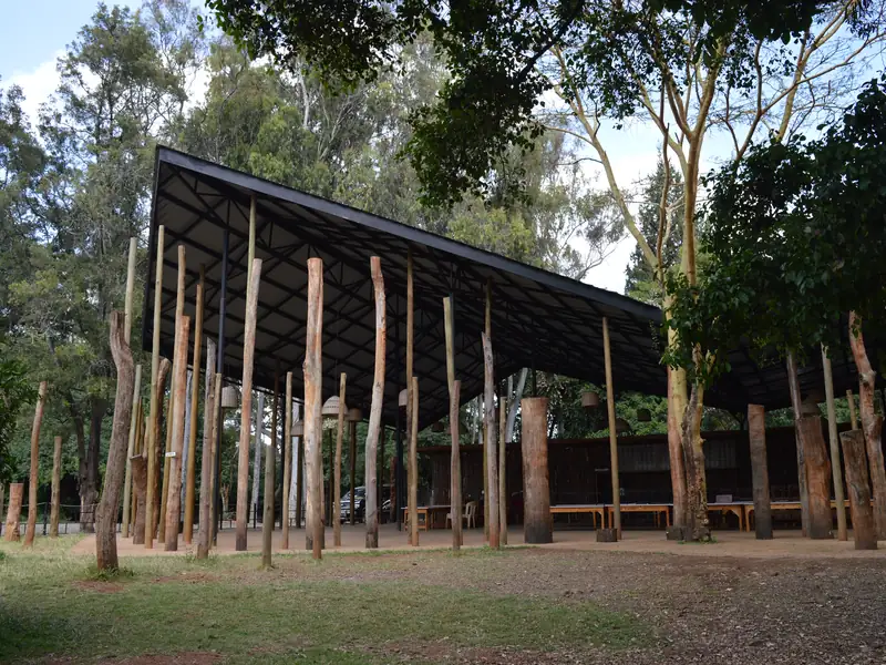 Nairobi Waldorf School, Best Africa (Re)presentation