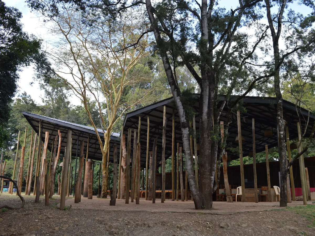 The award-winning pavilion