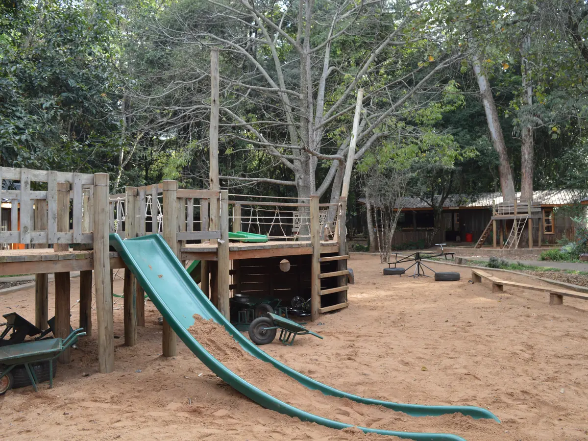 Play among the trees