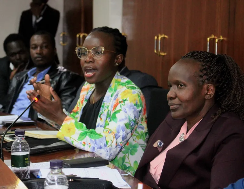 Arch. Brenda Nyawara addressing the Assembly's Lands, Housing and Planning Committee