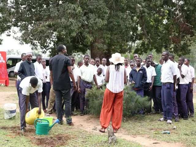 Watering the newly planted seedlings