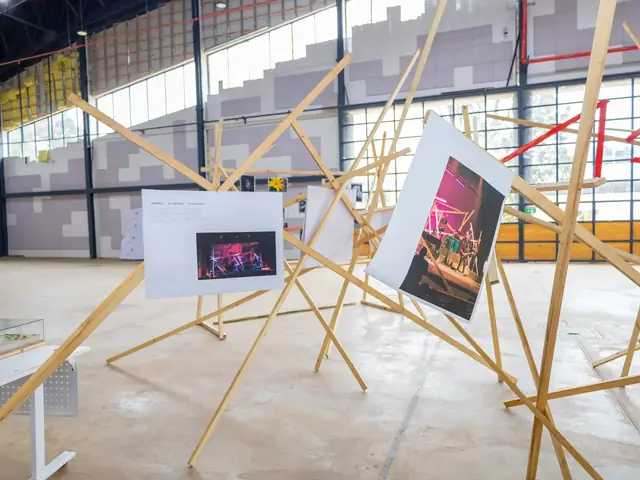 Photographs hung on a bamboo-pole installation