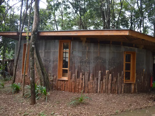 A timber classroom set among the trees