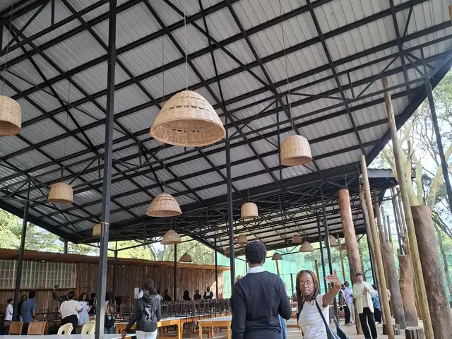 Under the pavilion roof: timber poles and woven pendant lights